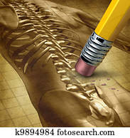 dor traseira, terapia