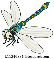 Dragonfly Dragonfly