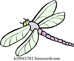 Dragonfly Dragonfly