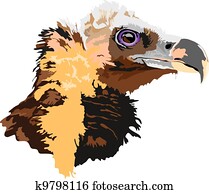 Eagles made in eps Abstract