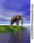 elephant elephant