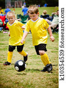 enfants jouer, football, dans, organisé, jeunesse, jeu
