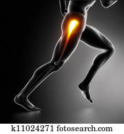 esportes, quadril, ferimento, koncept