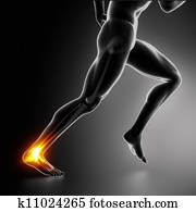 esportes, tornozelo, e, achilles colocar salto* no* sapato*, ferimento, conceito