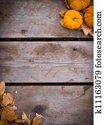 Fall harvest background Fall harvest background