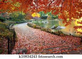Fall Leaves in Central Park New York