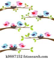 família, de, pássaros