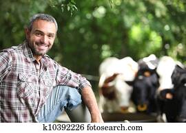Farmer with cows Farmer with cows