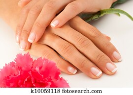 Female hands with french manicure.