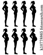 Female Silhouette Stages of Pregnancy Female Silhouette Stages of Pregnancy