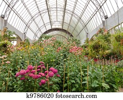 flores, crescendo, em, vidro, hothouse, de, centro jardim