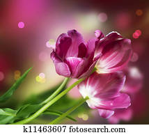 Flowers Design Flowers Design