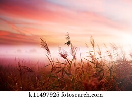 Foggy Landscape. Early Morning Mist