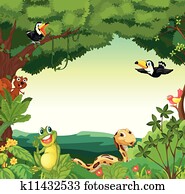 forest scene forest scene