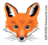 Fox Fox