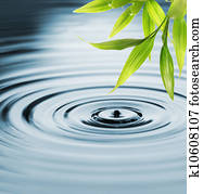 Fresh bamboo leaves over water