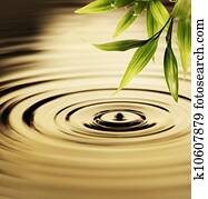 Fresh bamboo leaves over water