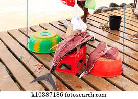 Fresh fish and fisherman in Santa Maria, Sal Island, Cape Verde africa