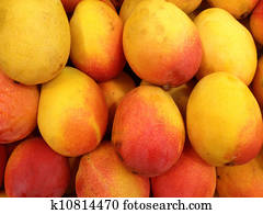 Fresh Mango Fresh Mango