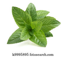 Fresh peppermint Fresh peppermint