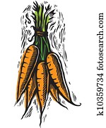 fresh picked carrots fresh picked carrots