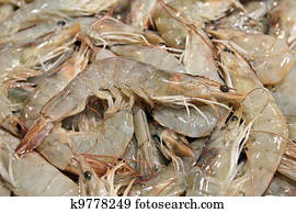 Fresh shrimps at fish market in Seoul 