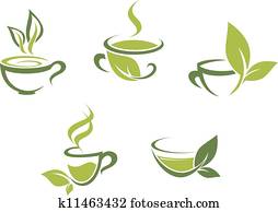 Fresh tea and green leaves Fresh tea and green leaves