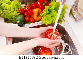 Fresh vegetables Fresh vegetables