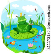 frog frog