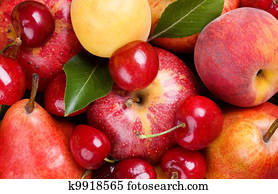 fruits and berries fruits and berries