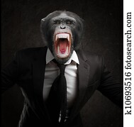 Frustrated Monkey In Business Suit Frustrated Monkey In Business Suit
