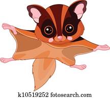 Fun zoo. Flying squirrel Fun zoo. Flying squirrel