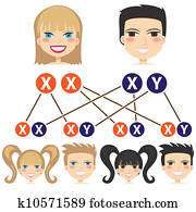 Gender dependency from chromosomes.