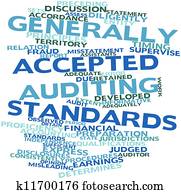 generally accepted auditing standards due professional care