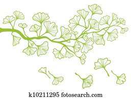 ginkgo branch with leaves, vector ginkgo branch with leaves, vector
