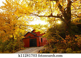 Glencoe in Autumn, Scotland, UK