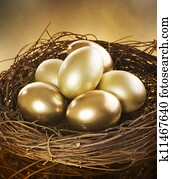 Golden Nest Eggs Golden Nest Eggs
