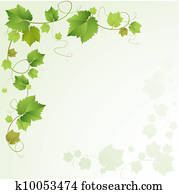 Grapes vine background Grapes vine background