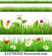 Grass Backgrounds Set With Flowers And Ladybug