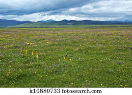Grassland pastures Grassland pastures
