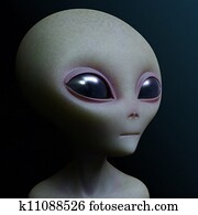 gray alien gray alien