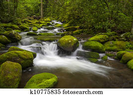 Great Smoky Mountains National Park Gatlinburg TN Roaring Fork River lush green forest landscape photography