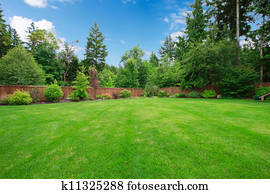 Green large fenced backyard with trees. Green large fenced backyard with trees.