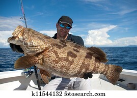 Grouper fish Grouper fish