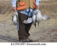 Grouse Hunting Grouse Hunting