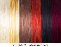 Hair Colors Palette 