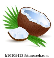 Half a coconut Half a coconut