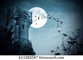 halloween halloween