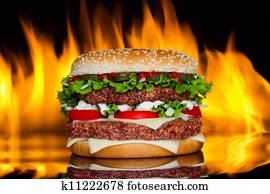 Hamburger with fire Hamburger with fire