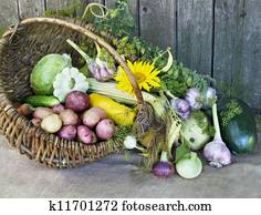 Harvest Harvest